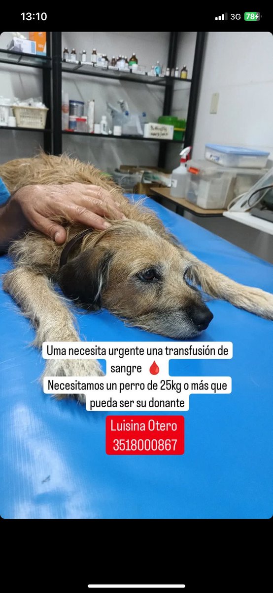 AugustoOtero4's tweet photo. @VivireNuevaCba 
Es mi gorda por favor 🙏🏽🙏🏽🙏🏽 https://t.co/ebuwNcDCDE