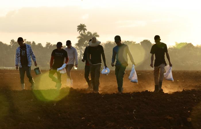 UlisesGuilarte's tweet photo. Ante el desafío de superar, con nuestros propios esfuerzos, la inaplazable eficiencia que demanda la Batalla Económica en #Cuba, colectivos de trabajadores se proponen impulsar tareas productivas como parte de la celebración por el #1Mayo. #PorCubaJuntosCreamos @CubaCentral https://t.co/NrNGJZfqs3