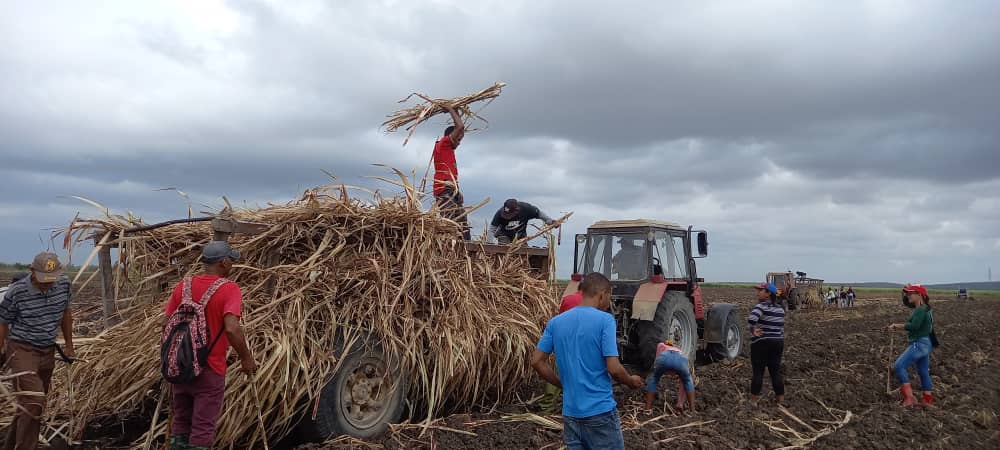 UlisesGuilarte's tweet photo. Ante el desafío de superar, con nuestros propios esfuerzos, la inaplazable eficiencia que demanda la Batalla Económica en #Cuba, colectivos de trabajadores se proponen impulsar tareas productivas como parte de la celebración por el #1Mayo. #PorCubaJuntosCreamos @CubaCentral https://t.co/NrNGJZfqs3