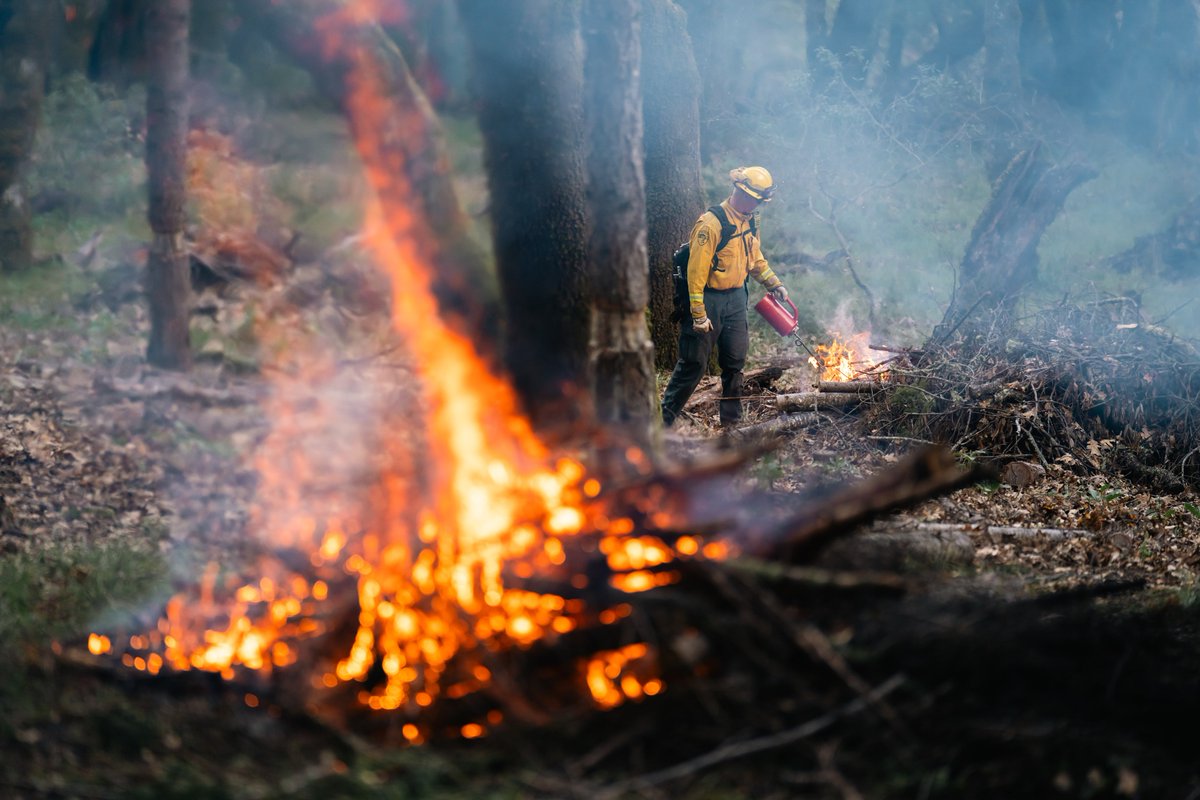 Marin Water tweet media