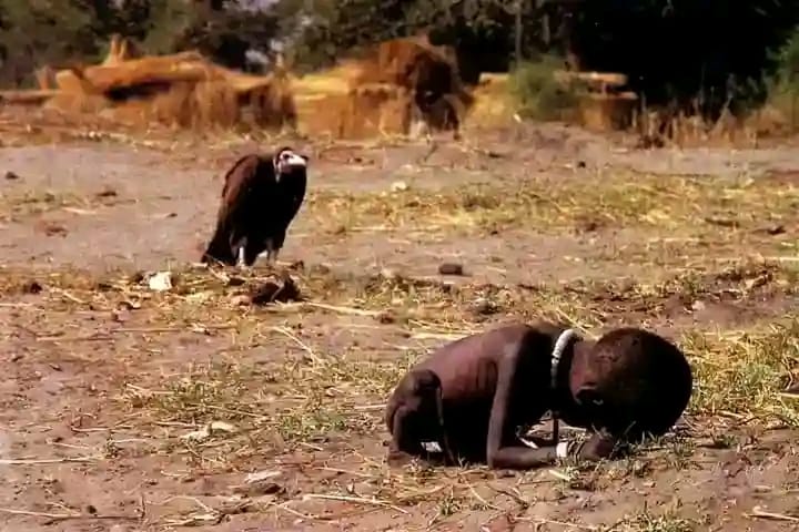 In the 1990's there was a widely circulated photo of a vulture waiting for a starving little girl to die and feast on her corp. That photo was taken during the 1993/94 famine in Sudan, by Kevin Carter, a South African photojournalist, who later won the Pulitzer Prize for this…