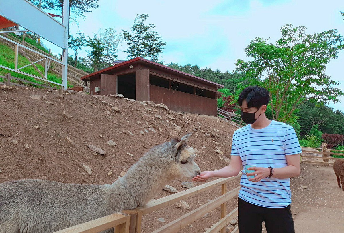 Ms_chococo's tweet photo. 귀여운 동물 좋아해요
펨돔님 앞에서는 제가 귀여운
🐶될래요 플욕처리 변기로 사용해주세요🚽

#펨돔 #멜섭 #에세머
#FD #MS https://t.co/U8hRA8OxYY