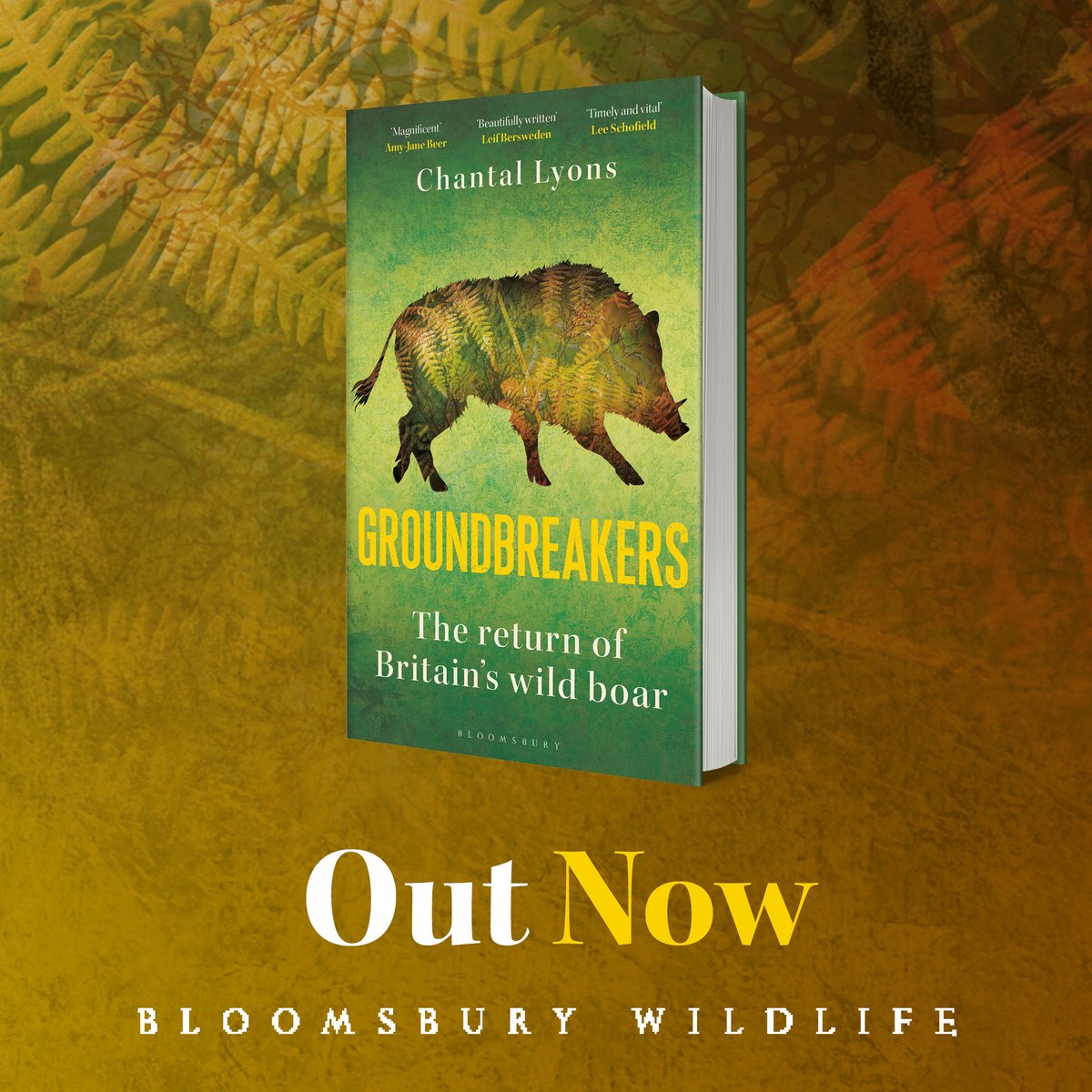 My #WildBoar book GROUNDBREAKERS came out in North America today! It won't tell you how to deal with the 30-50 feral hogs that run into your yard while your kids play but I hope readers might find it enlightening in other ways 🐗 bit.ly/49JyWvM