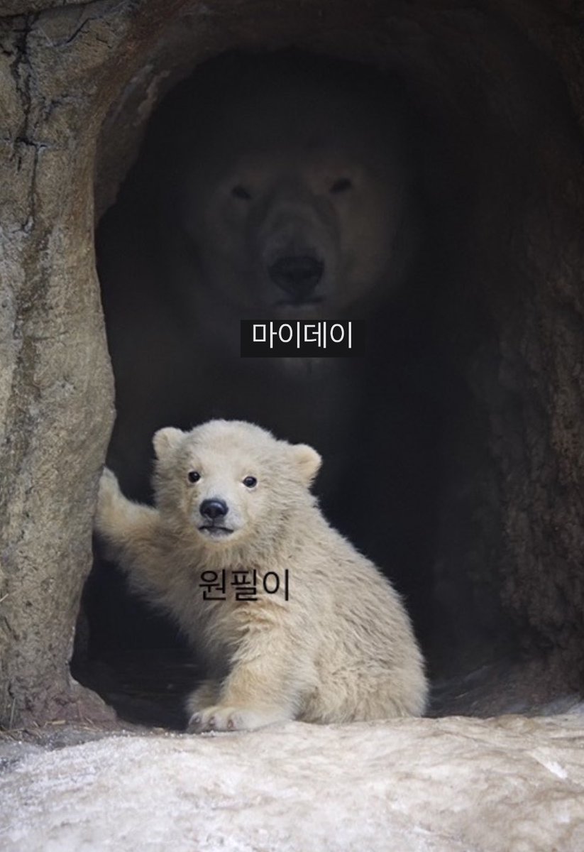 ꪔ͈̮ (@ourday907) on Twitter photo 