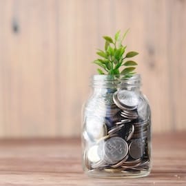 Calling all African #SMEs and #entrepreneurs in the #agriculture sector! Check out this #business development opportunity from the @MastercardFdn: Fund for Resilience and Prosperity #Agribusiness Challenge:

bit.ly/3Q4jjIy

#agritech #AfricanEntrepreneurs #funding #RFPs