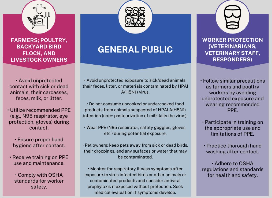 Crossing Species: The Rising Threat of H5N1 Bird Flu in the U.S. A recent case in Texas shows possible mammal-to-human transmission, a first in the U.S. Despite the low overall risk, those in close contact with infected animals remain at increased risk. In this @NYASciences…