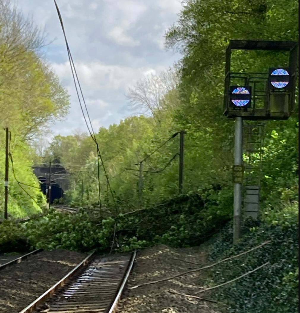 A fallen tree has blocked all lines between Ipswich and Stowmarket. Engineers are on site assessing the damage and will be removing the tree to clear the line as soon as possible. Disruption is expected until further notice. Please check @greateranglia for more updates.