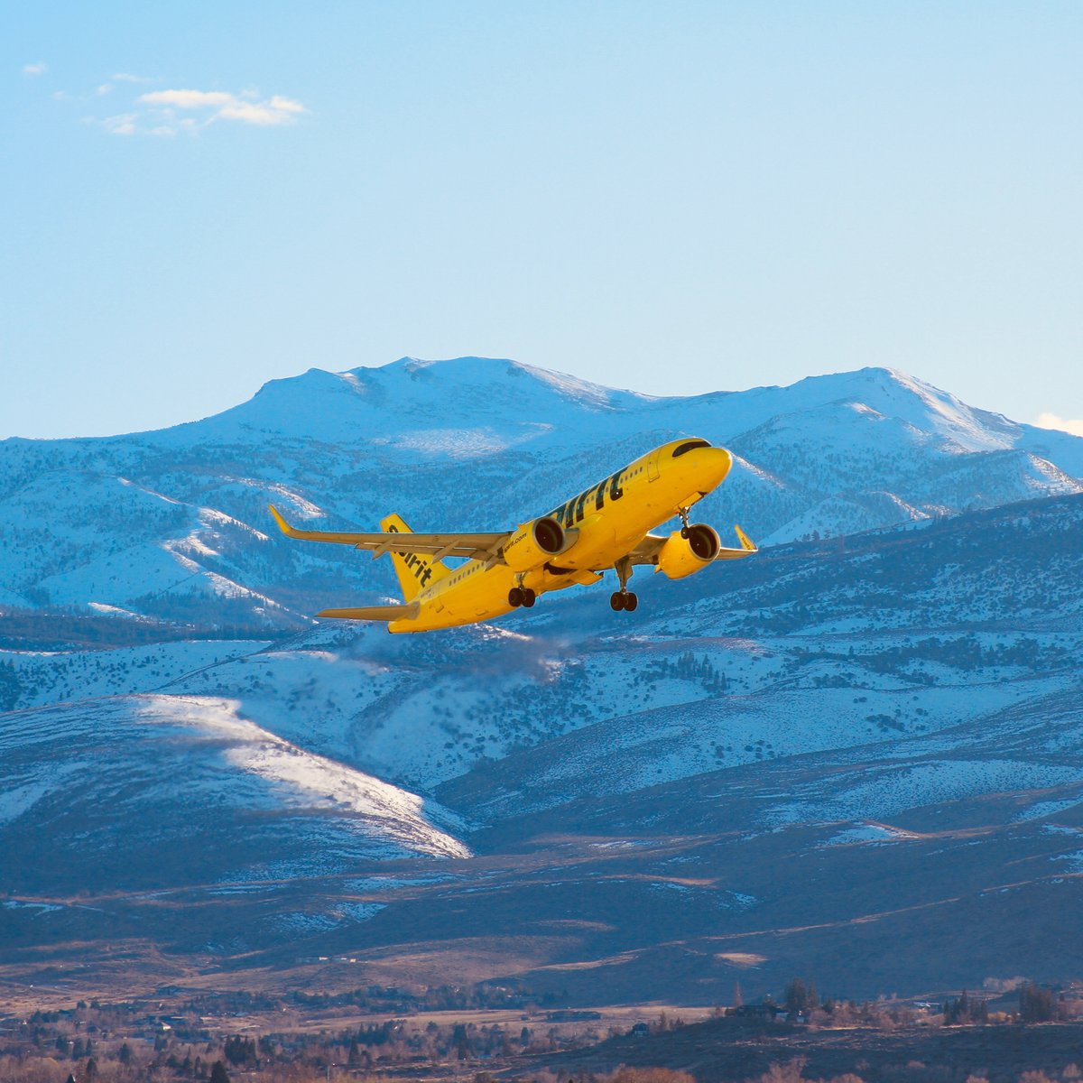 Spirit Airlines tweet media