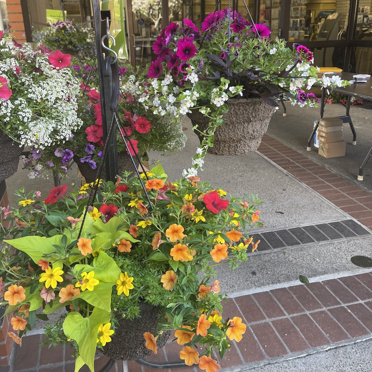 Join us for our spring pop-up tomorrow in the Ag Hub! Chemeketa's Horticulture program is delighted to announce its upcoming Spring Pop-up plant sale. We invite you to come on over and show your support! Wednesday, April 17th 10am-1pm Ag Hub | Bldg. 60 Salem Campus