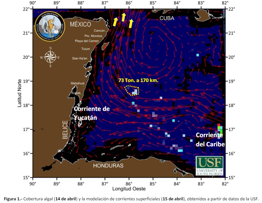 New!
Daily Bulletin – SARGASSUM EVALUATION MEXICAN CARIBBEAN
on our website:

sargassummonitoring.com/en/daily-bulle…

#sargasse #sargazo #sargassum #Mexique #monitoreodesargazo #Cancun #Tulum #PlayadelCarmen #PuertoMorelos #IslaMujeres #Cozumel #Holbox #QuintanaRoo #Mexico #RivieraMaya