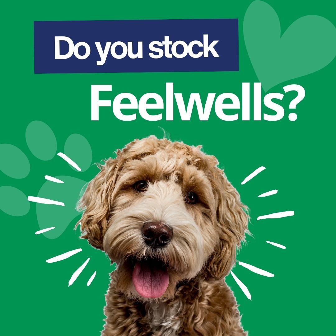 Becoming a #Feelwells #stockist is easy! 🤩 Simply send us a PM or email us at info@feelwells.co.uk Get started today with our New Stockist Starter Deal! Containing all of our #bestsellers at a special price. Once registered, you can order directly via our Trade site ⭐️