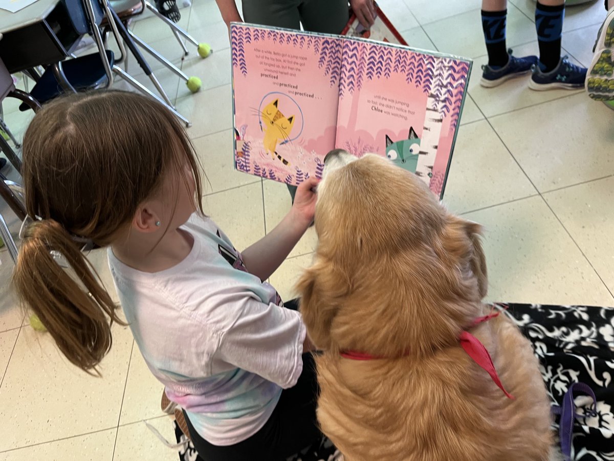 peggyfrezon's tweet image. Sophie always enjoys a good book. And she loves when the third graders read to her. #goldenretriever #therapydog #BrooksHaven