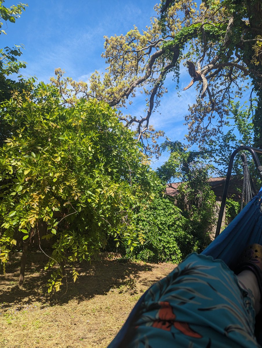 griaane's tweet photo. Enjoying some sunshine with grandma today. Oklahoma weather is perfect. Making her days the best they can be. #sunshine #hammock #touchinggrass https://t.co/mzsrJzT4ks