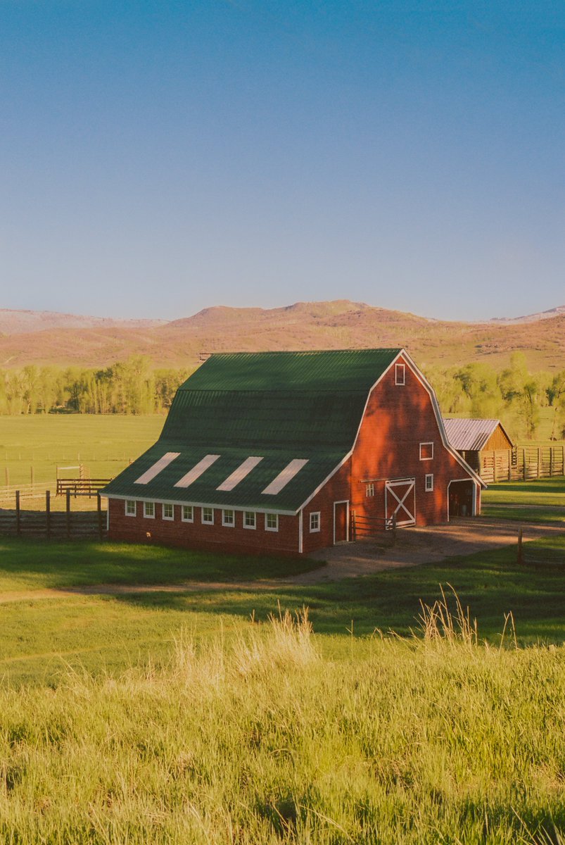 Summer days in Colorado 🎞️