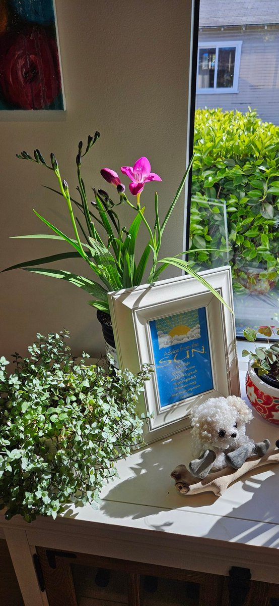 Emmanuel Dagher tweet media