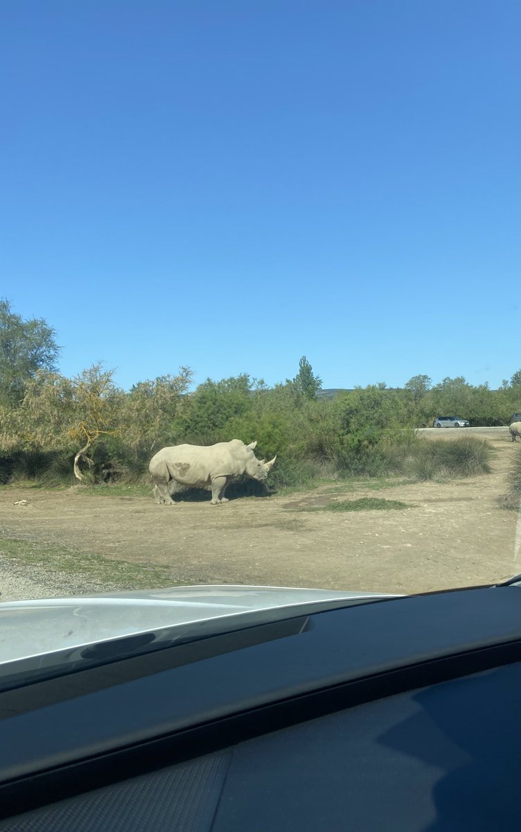 Je viens de croiser un rhinocéros vers Aix en Provence faites attention ⚠️