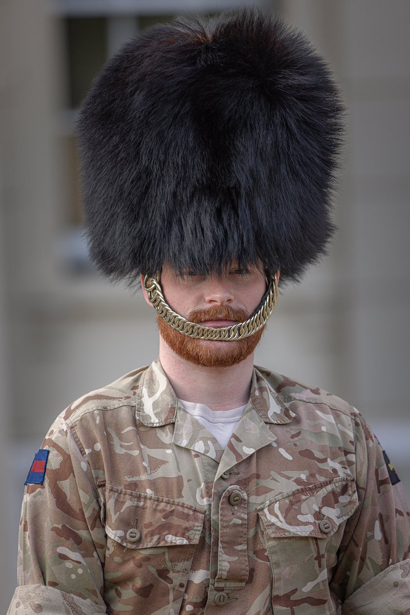 Having given permission for beards to be grown, shouldn't the @BritishArmy at least allow the @Official_1WG to dye their busbies to match?