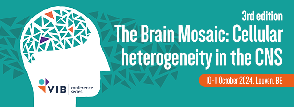 🧠The 3rd edition of #BrainMosaic24 takes place on 10 - 11 October 2024 in Leuven, Belgium. Are you interested in supporting this conference? Brand your company, network with leading experts in the field, showcase products, and attract clients. More info👉 vibbio.tech/43RHsaN