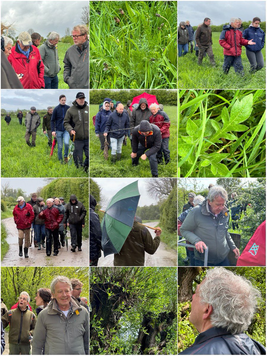 larsvanpeij's tweet photo. Peter Verbeek (Natuurbalans): “Je moet een goed passend Maasheggenmengsel hebben én de bodem moet geploegd en ingezaaid worden. Daarna moet het gras in juni en september worden gemaaid en afgevoerd". @DeMaasheggen @VNC_Landschap #maasheggen 
https://t.co/bZrY8dElSX https://t.co/kFPtg1aT7C