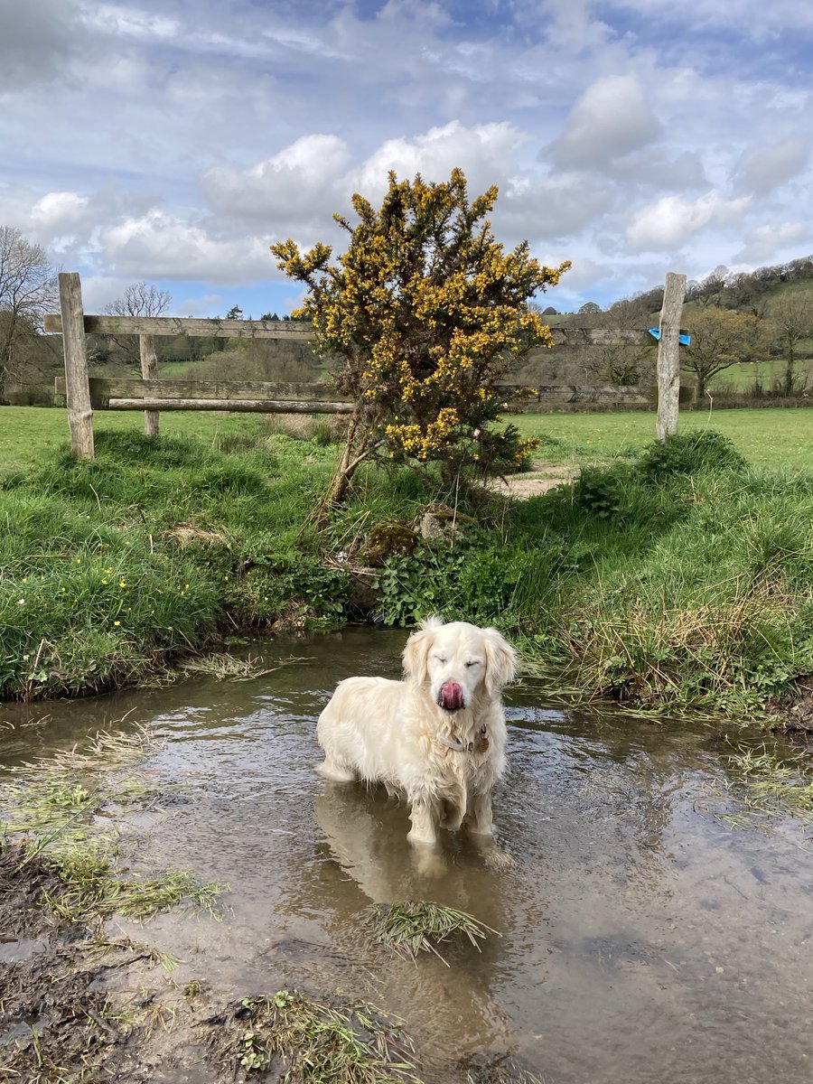 #GRC #TongueOutTuesday for Kai.