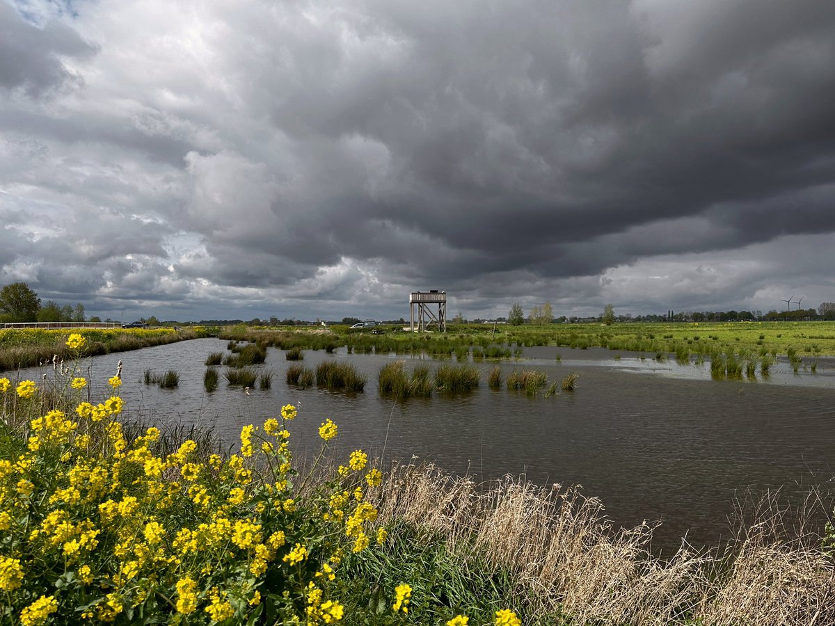 R W (@rinie57) on Twitter photo Vanmiddag donkere wolken boven de rivier de grift! <a href="/_weernl/">Weer.nl</a> <a href="/weeronline/">Weeronline</a> <a href="/WilliamHuizinga/">William Huizinga</a> <a href="/mrmiddendorp/">Maurice Middendorp</a> <a href="/marjondehond/">Marjon de Hond</a> @MarcdeJongRTL <a href="/BuienRadarNL/">Buienradar</a> Vanmiddag donkere wolken boven de rivier de grift! <a href="/_weernl/">Weer.nl</a> <a href="/weeronline/">Weeronline</a> <a href="/WilliamHuizinga/">William Huizinga</a> <a href="/mrmiddendorp/">Maurice Middendorp</a> <a href="/marjondehond/">Marjon de Hond</a> @MarcdeJongRTL <a href="/BuienRadarNL/">Buienradar</a>