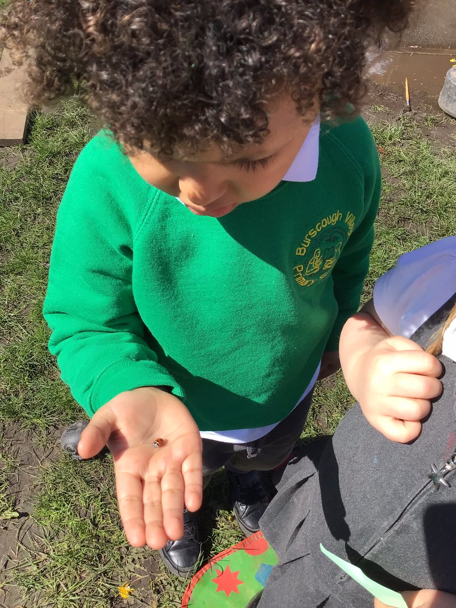 BVPS Nursery Class Page tweet media