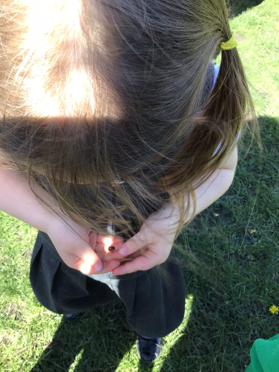 BVPS Nursery Class Page tweet media