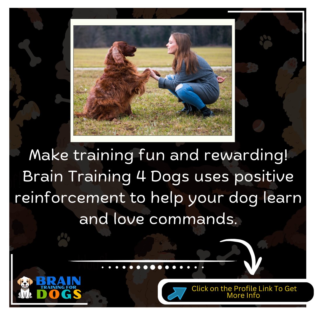 Playful Pups, Perfect Commands: Train Your Dog with Fun & Positive Reinforcement (#PawsitiveTraining)

#PawsitiveTraining #PositiveReinforcement #HappyPup #Calmdog #ResponsibleDogOwner #DogTraining #TreatTime #SmartDog #FunLearning #FureverFriend