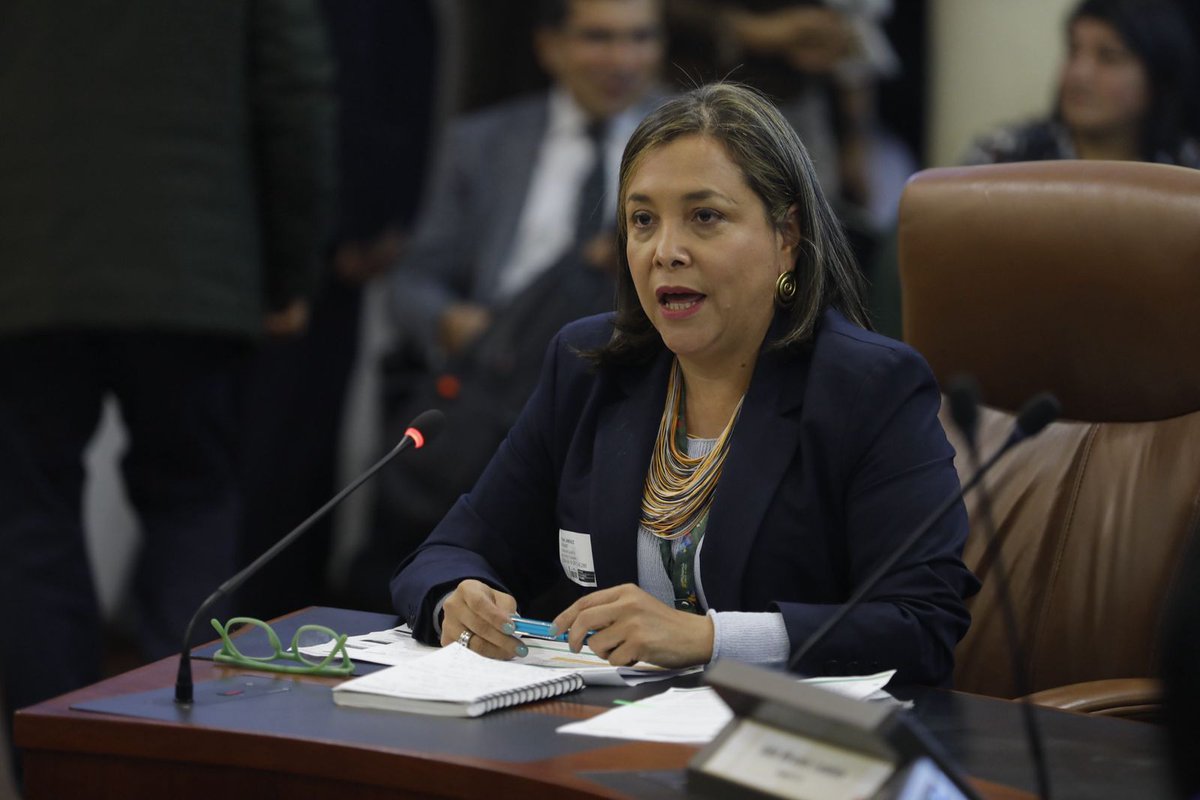 La presidenta (e) de la #ANM, Ivonne Jiménez, interviene en el debate en la Comisión Quinta de la @CamaraColombia sobre la ejecución presupuestal del sector minas y energía.