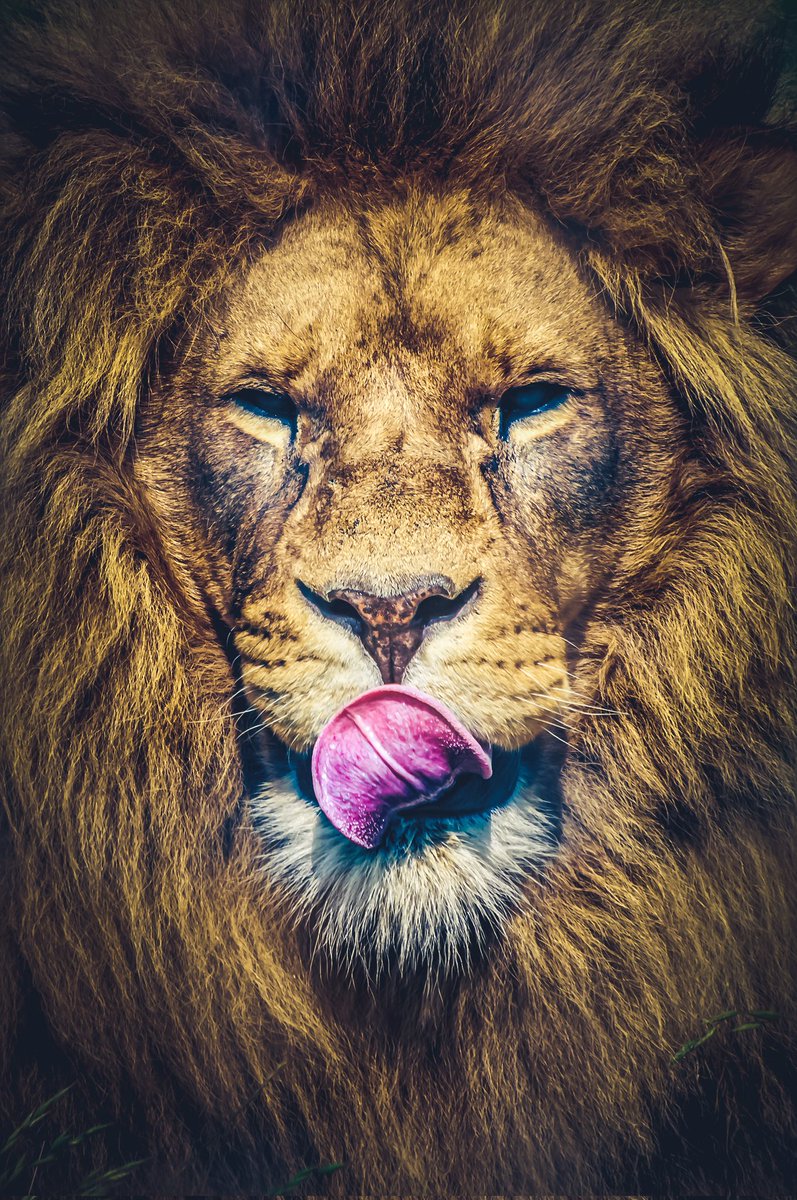 J3Nk0's tweet photo. @Matt_Pinner https://t.co/25bXybxS88
