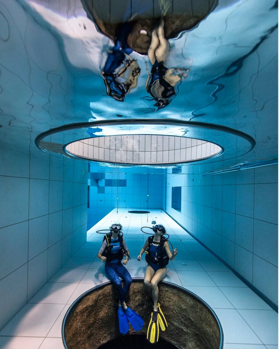 diveSSI's tweet photo. Diving is not always about spotting the most incredible marine life, or learning a new skill. Sometimes it's just about diving with friends and sharing that passion.

📸@franekp

#wearessi #indoorcenter #indoor #divessi #justaddwater #ssi #divewithfriends https://t.co/pvXsPYuC61