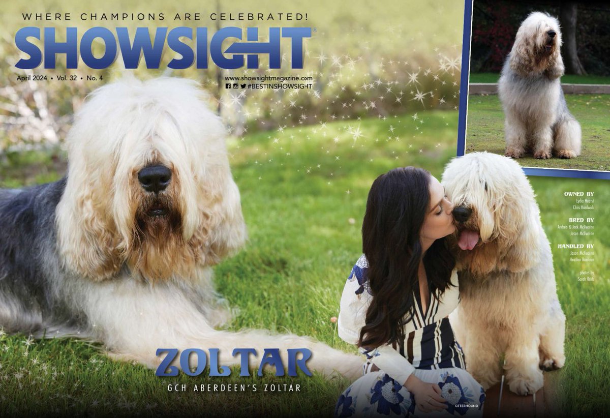 Showsight's tweet image. GCH ABERDEEN'S ZOLTAR

Everything that is, was first a dream⭐

Owners: Lydia Hearst, Chris Hardwick
Breeders: Andrea, Jack  &amp;amp; Jason McIlwaine
Handlers: Jason McIlwaine, Heather Buehner

rb.gy/0xhj9v

#otterhound #purebred #dogshow #bestinshowsight #showsightmag