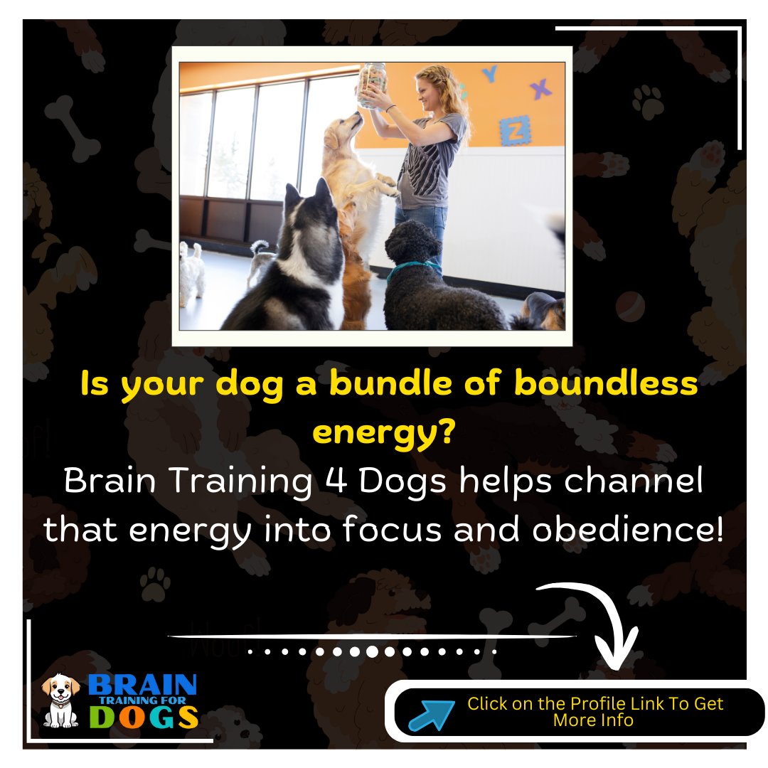 From Bouncy to Brilliant: Brain Train Your Dog for Focus & Fun! (#BrainTrainYourPup)

#BrainTrainYourPup #MentalStimulation #HappyPup #Calmdog #ResponsibleDogOwner #DogTraining #PositiveChange #PawsitiveTraining #TreatTime #SmartDog