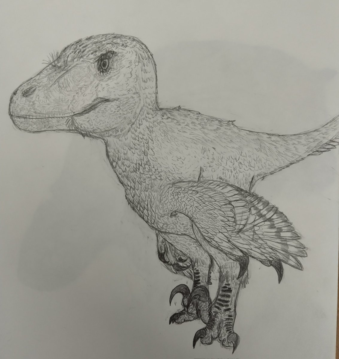 Since some people are talking about raptors here is an old drawing of Deinonychus I made