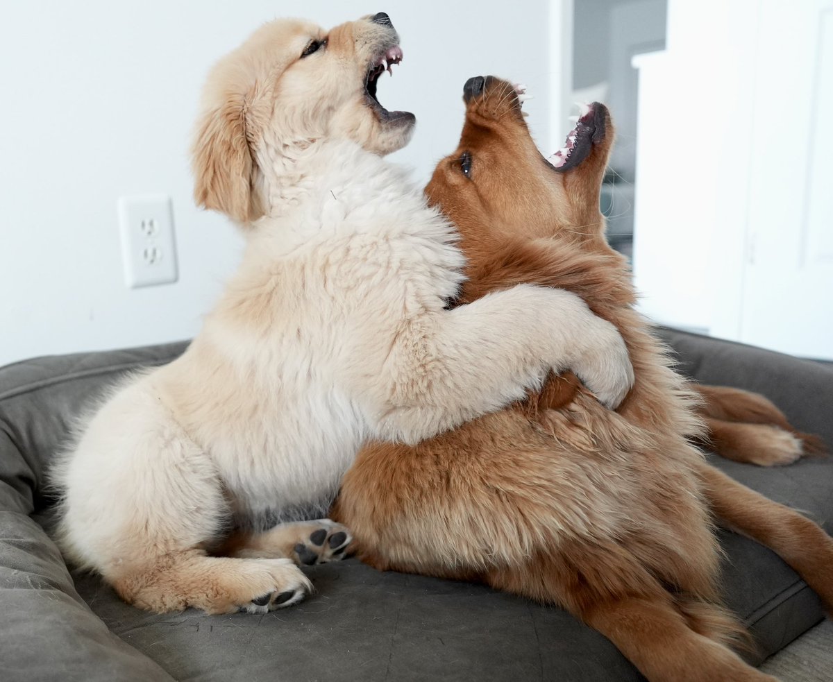 TheGoldenRatio4's tweet photo. L O V E https://t.co/Ou04nB52ee