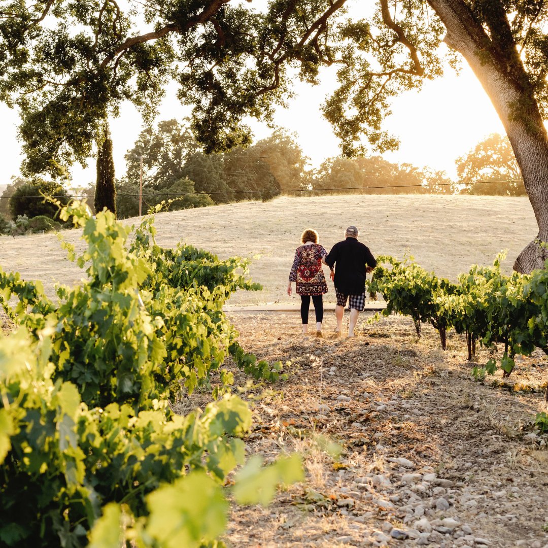 Experience the beauty of Bella Luna Estate Winery, where each glass of wine is a toast to unforgettable moments shared with loved ones. 🥂🌄 #WineMoments #BeautifulScenery #BellaLunaEstate
