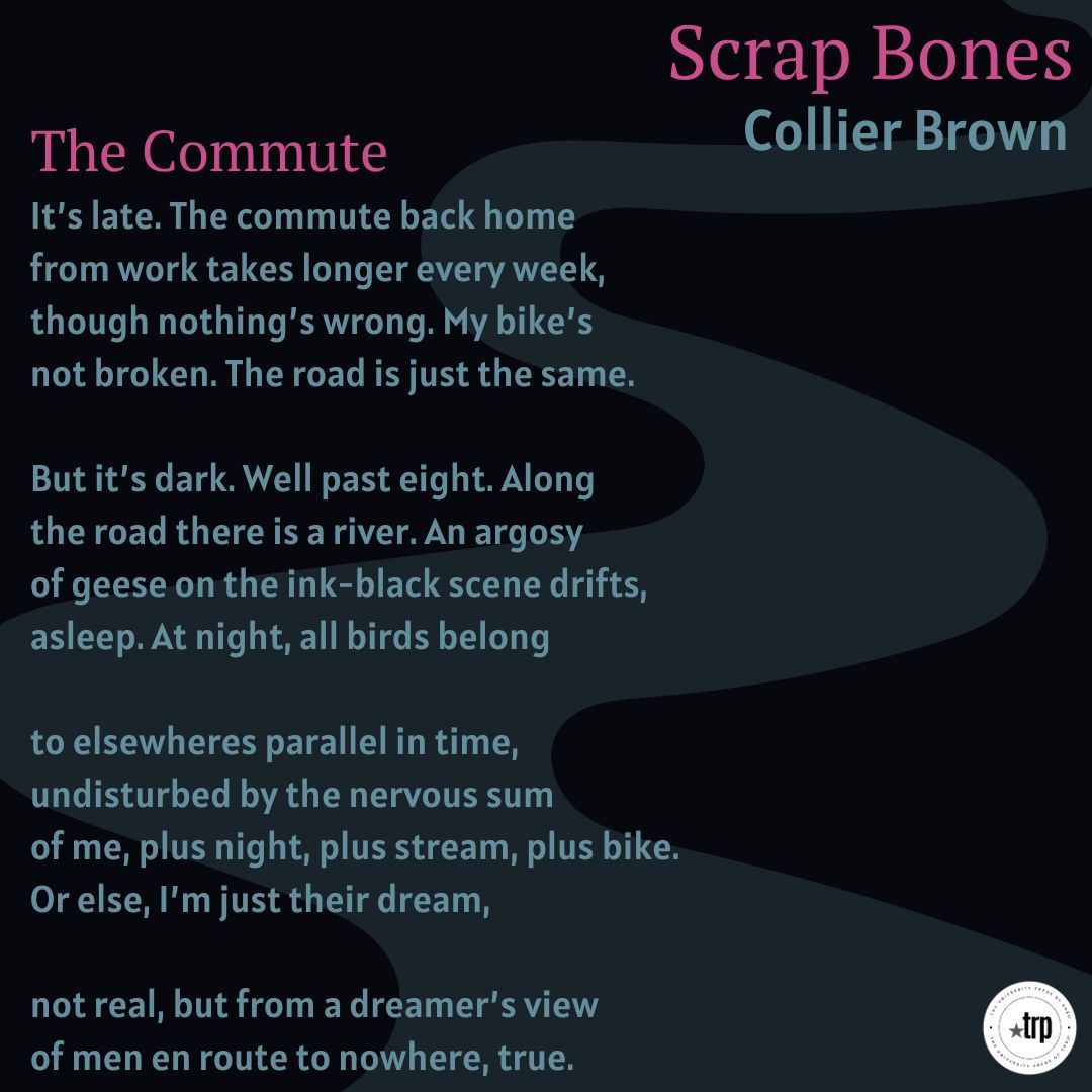 Today's featured poem is 'The Commute' by Collier Brown. Get the full collection *Scrap Bones* in the link in our bio! #NationalPoetryMonth #PoetryMonth #Poem #Poetry #UniversityPress #SmallPress #TRP #TexasReviewPress