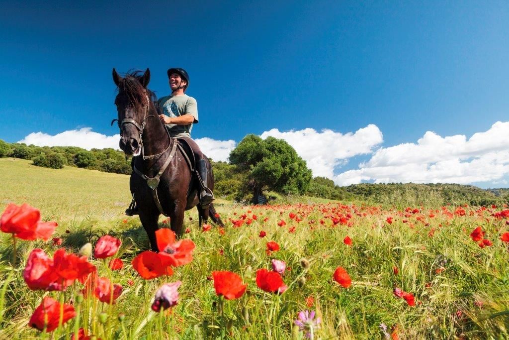 In #Menorca you'll find many 🔝 hiking routes. 😍 One of the most popular is the #CamíDeCavalls: the historic and #sustainable path goes around all the island. 🚶‍♀️ Sustainability it's a way of life! tinyurl.com/4njzdbyu 👈 #VisitSpain #SpainEcoTourism @MenorcaTourism