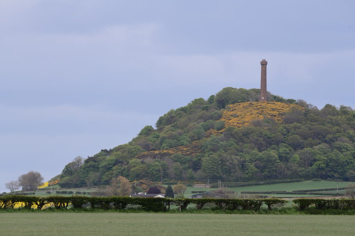 Hopetoun Monument sits 2km north of Haddington, dominating the skyline for miles around. Enjoy wide open views from the hilltop across #EastLothian visiteastlothian.org/things-to-see-…📷Tom Duffin #VisitEastLothian #viewsday