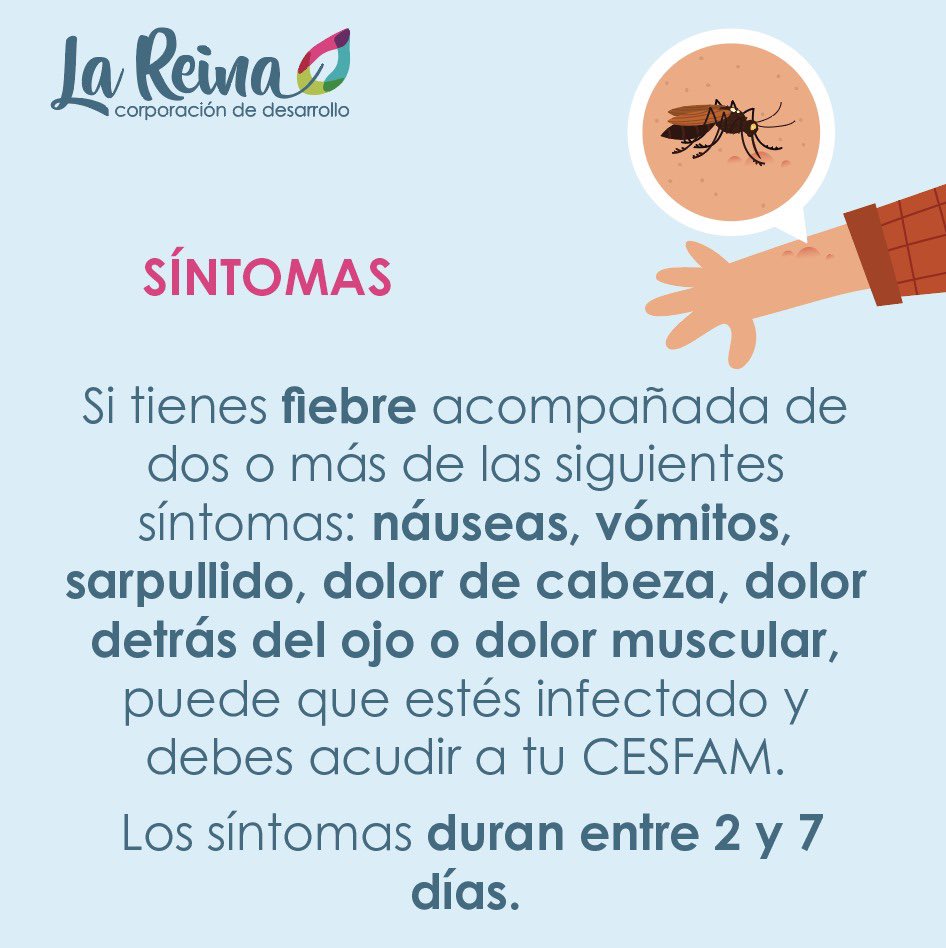 Atención Vecinos, información importante sobre el DENGUE 🚨 #Dengue