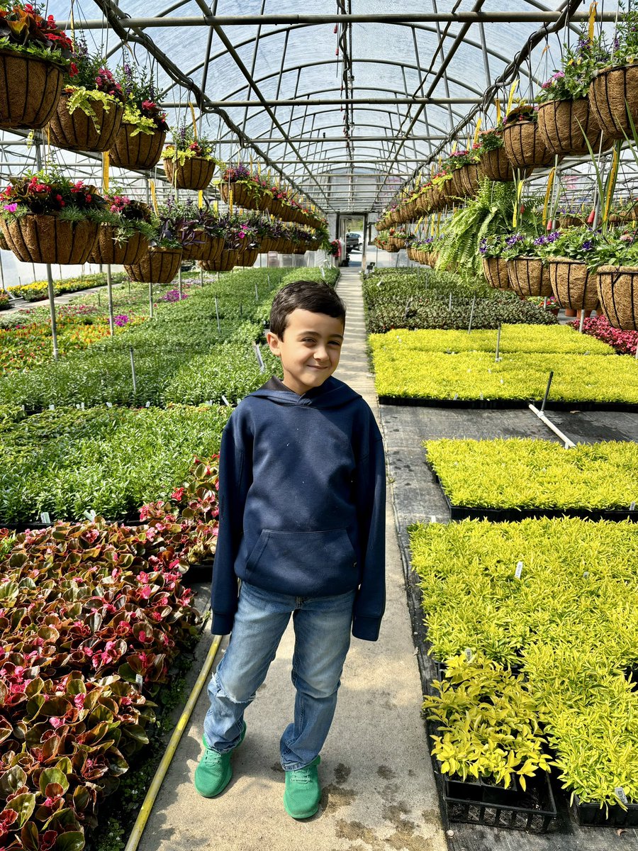 My grandson Phoenix in a beautiful flower garden. حفيدي فينيكس في حديقة الزهور الجميلة.