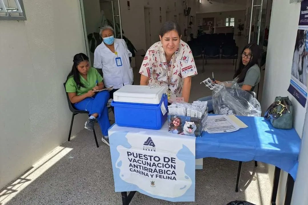 SSalud_Qro's tweet image. ¡Arrancó la semana de vacunación antirrábica para perros y gatos! No debemos descuidar nuestra responsabilidad de cuidar a nuestras mascotas y de prevenir la rabia para garantizar la protección de nuestras familias. #SaludFamiliar #CuidadoResponsable