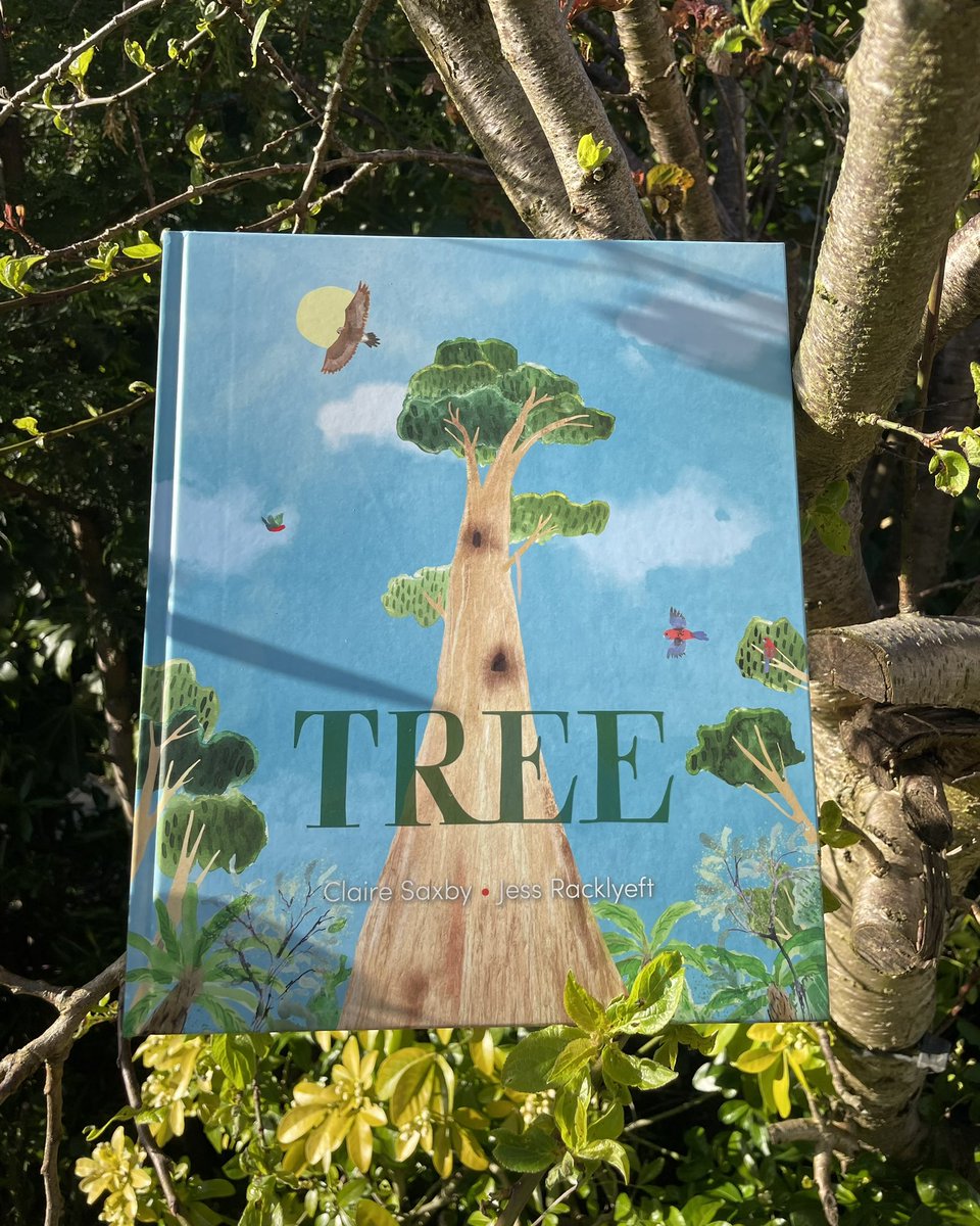 Truly grateful to the team @AllenAndUnwin for this stunning copy of #Tree by @SaxbyClaire and @JessRacklyeft I cannot wait to read and share this stunning exploration of a mighty tree from its roots to the tips of its branches with my classes 💚🌳