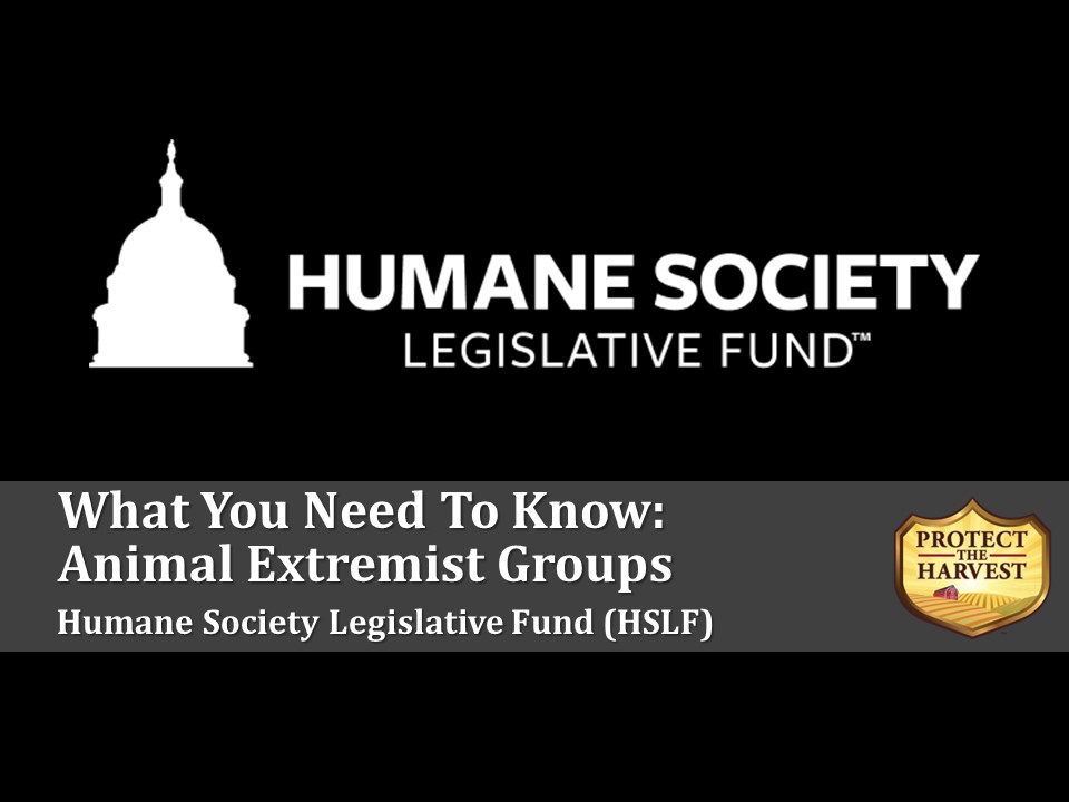HSLF spends millions to push animal extremism in public policy.
#animalextremism #animalwelfare #animalwelfarenotanimalextremism
protecttheharvest.com/what-you-need-…