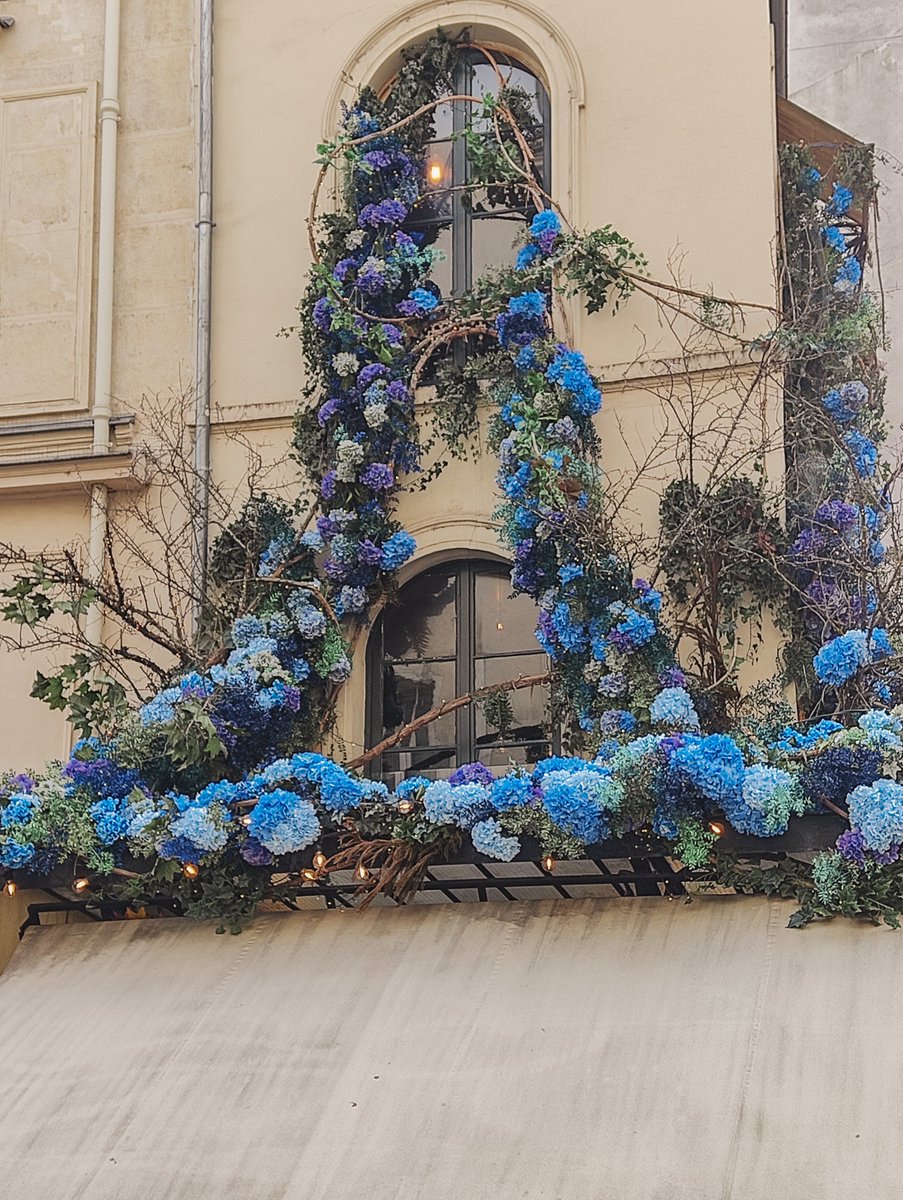 Hydrangea Flower Paris
fineartamerica.com/featured/hydra…
#Landmark #paris #artist #ArtGallery #sale #BuyIntoArt #shop #artist #digitalart #community #FallForArt #Photograph #BuyIntoArt #ArtMatters #sky #FediArt #famous #sky #culture #restaurant