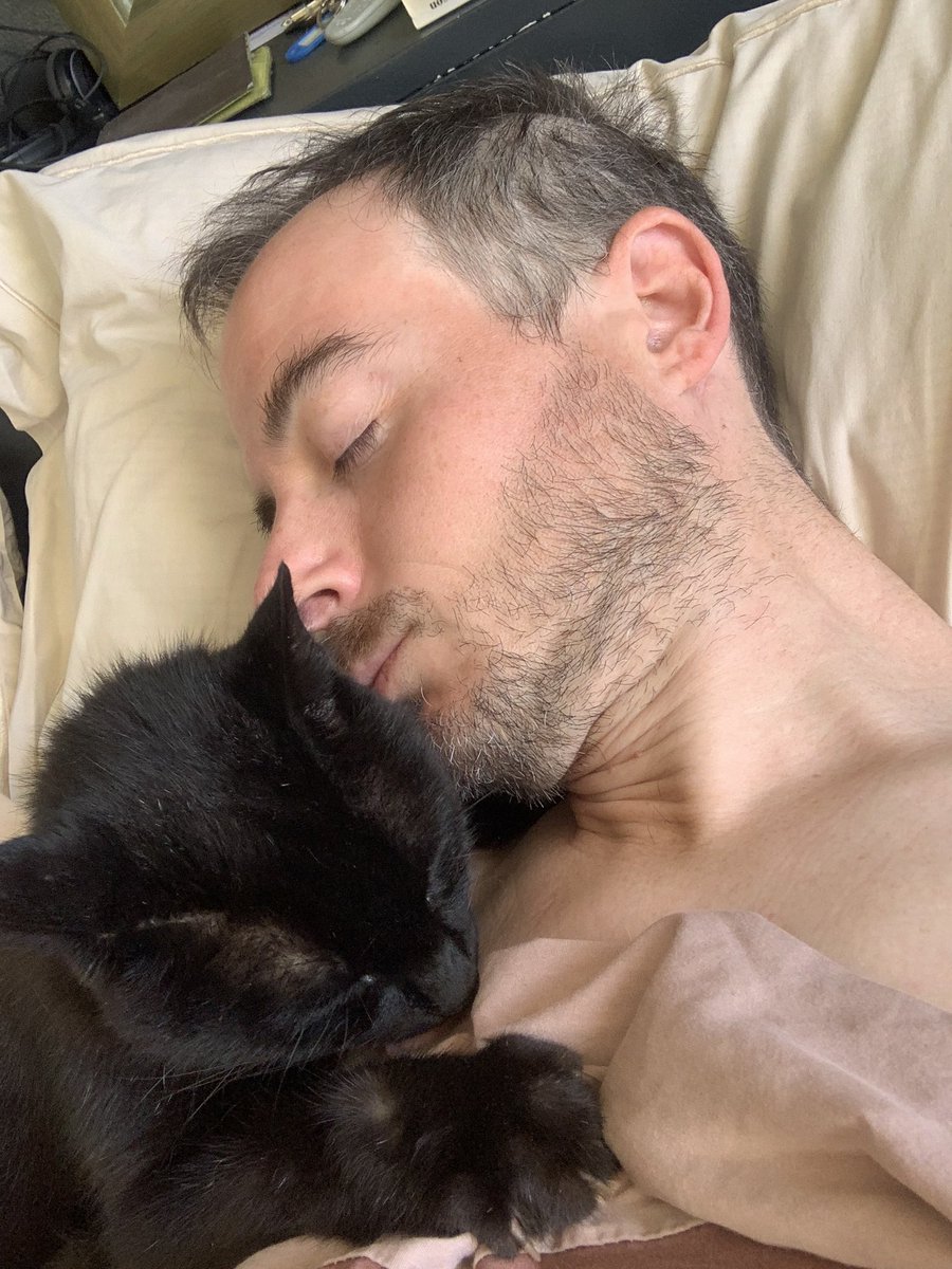 toperisteri's tweet photo. Tu as choisi de finir ta vie comme tu l’as commencée, il y a 17 ans : en chat des rues. J’aurais aimé que ça se passe différemment. J’aurais aimé être avec toi quand tu es parti. 🖤 https://t.co/hYpSY9d3kk