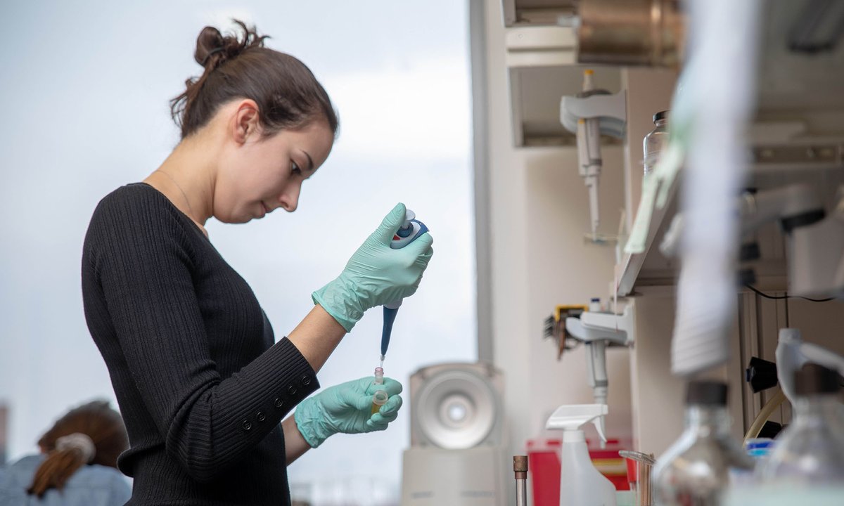 MEDICAL STUDENTS: Interested in hands-on research experience? 🔬 Apply to the Medical Student Anesthesia Research Fellowship! Applications for students are due May 3! Details at ➡️ z.umn.edu/MSARF. @UMNanes