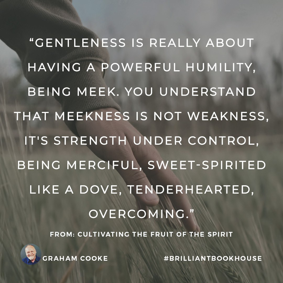 #humility #meekness #innerstrength #begentle #alwaysbekind #becompassionate #compassion #tenderhearted #sweetspirited #overcoming #compassionate #forgiveness #fruitofthespirit #peacebestill #gentlenessisstrength #gentlenessispowerful #fruitsofthespirit #understanding #gentleness
