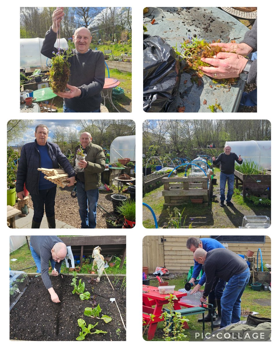 Suzieq1402's tweet photo. #fareplaynursery at @FARE_Scotland C Allotment.  Sowed sunflowers seeds we harvest frm last year. Fed the wormery, learned the life cycle of daffodils, tasted pea sprouts. Snail storytime. Mens group, sowed seeds , made kokedama forget me not. @RHSSchools @RHSSchools https://t.co/XwxQy8dudU