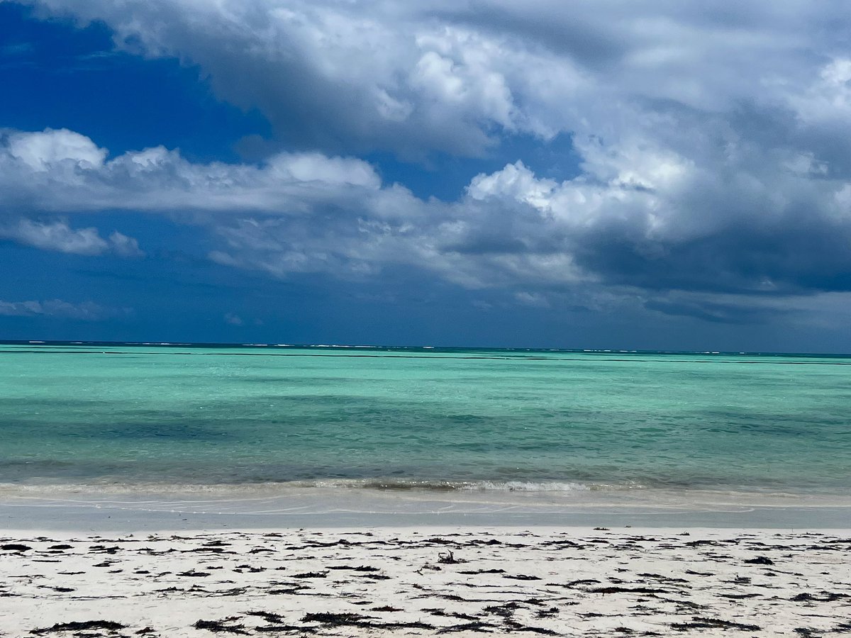 Tuesday morning meetings…